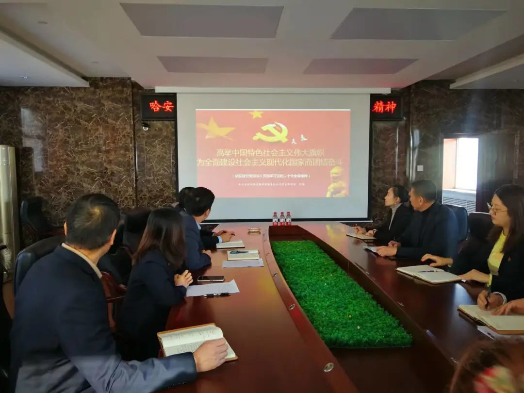 聽黨話 跟黨走 哈安建集團黨支部召開專題會議，深入學習黨的(de)二十大(dà)會議精神