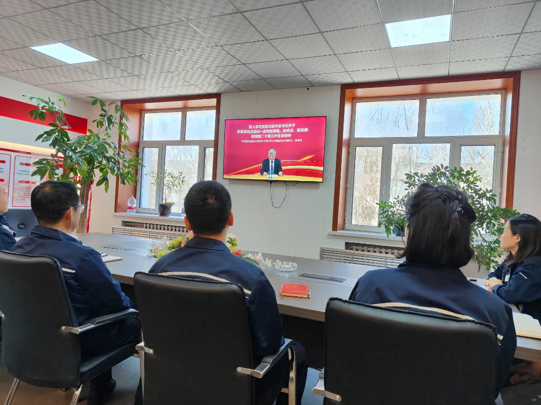 集團黨建 | 哈安建集團黨支部召開“學習貫徹黨的(de)二十屆三中全會精神講座”專題學習會