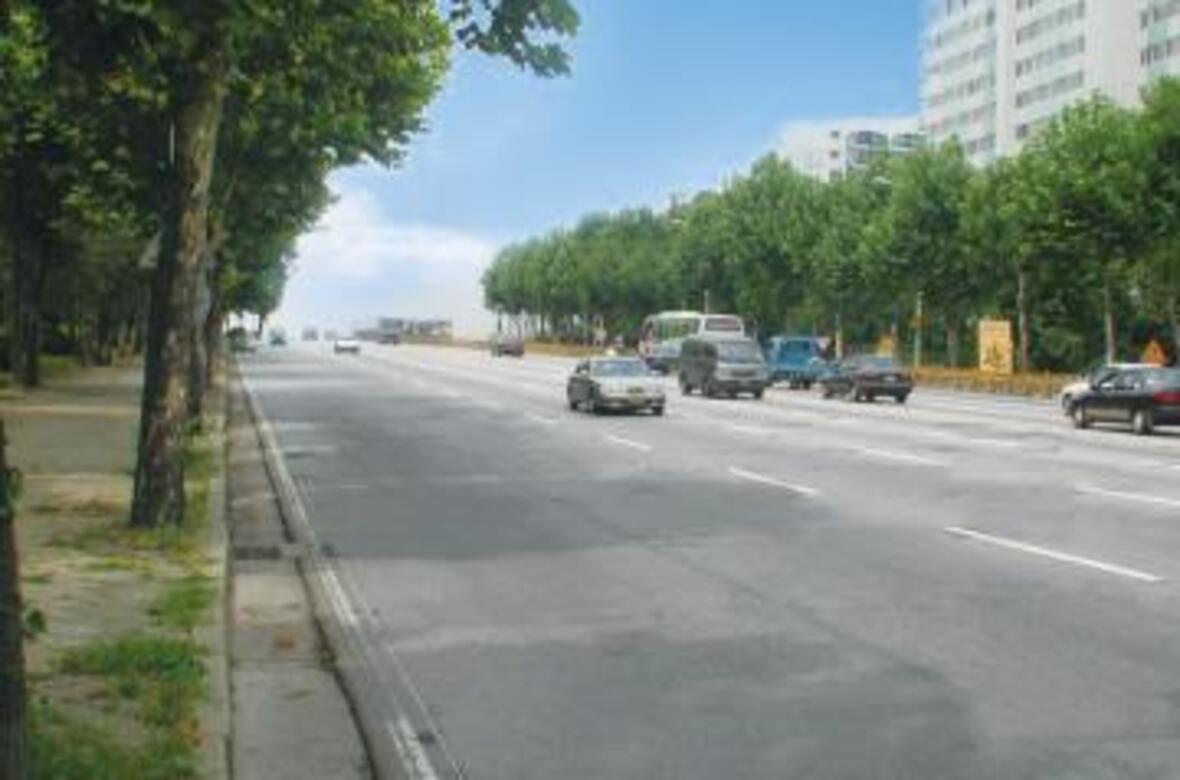 新疆巴裏坤市區公路